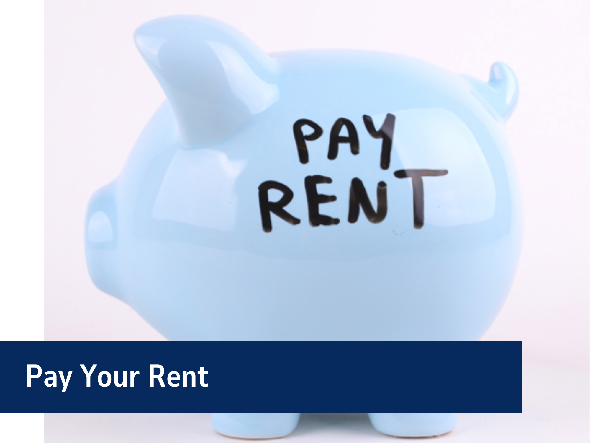 Pay Your Rent Banner