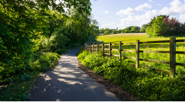 Countryside