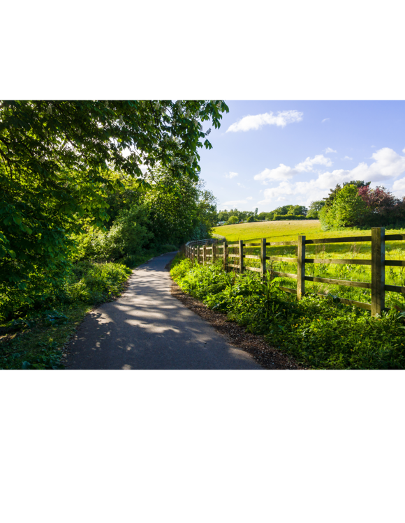 Countryside