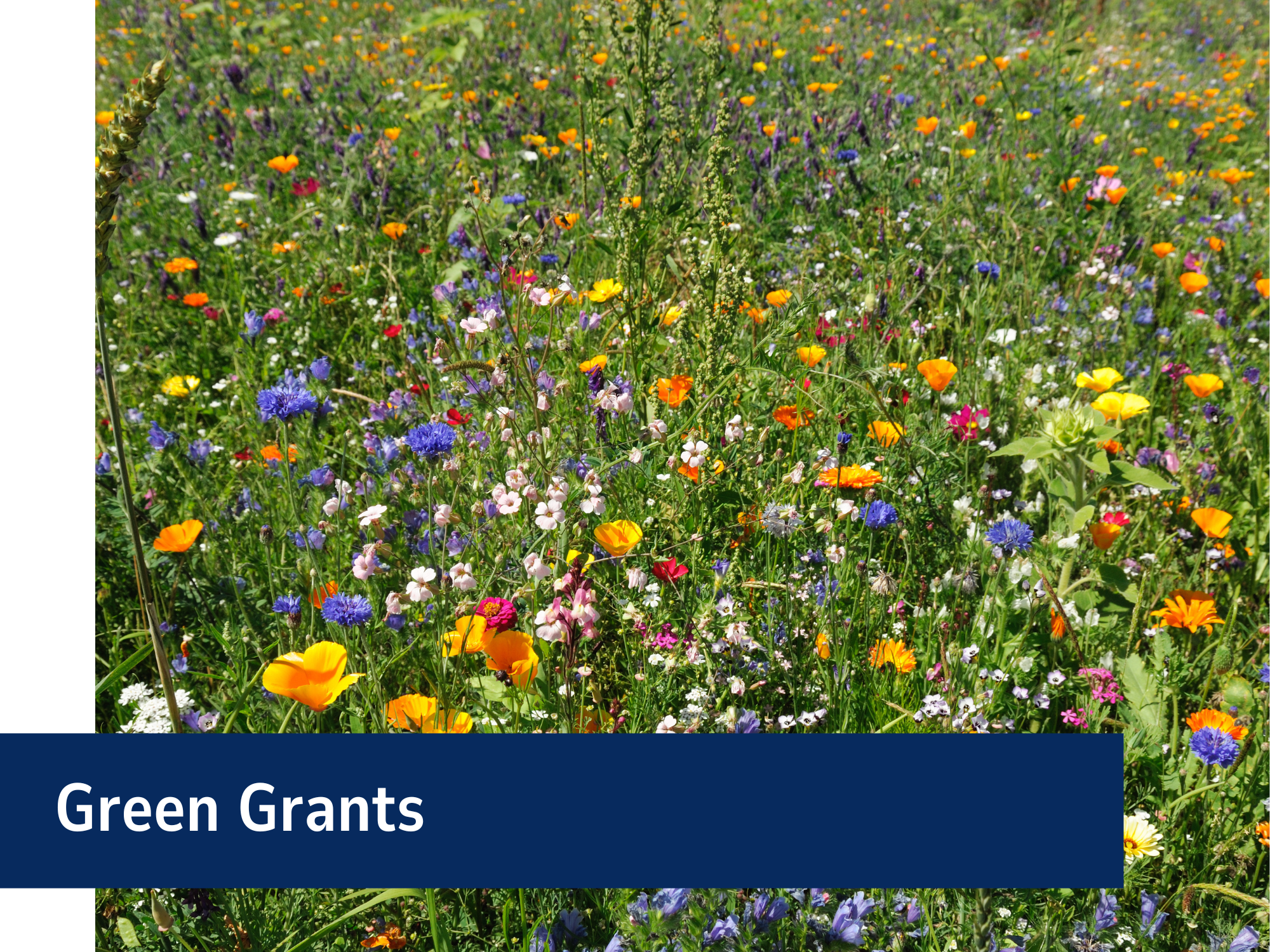 Green Grants Banner