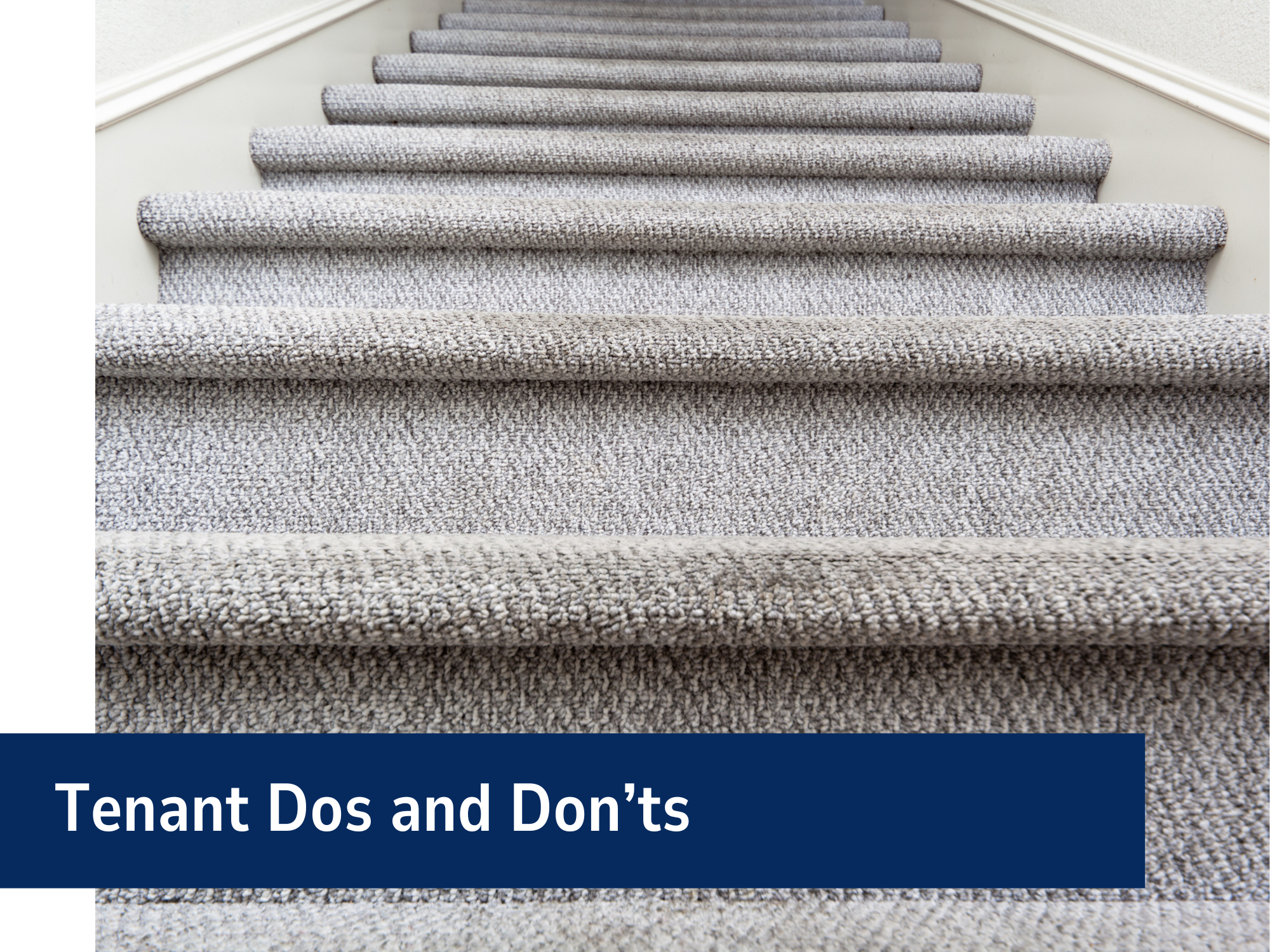 Tenant Dos And Don'ts Banner