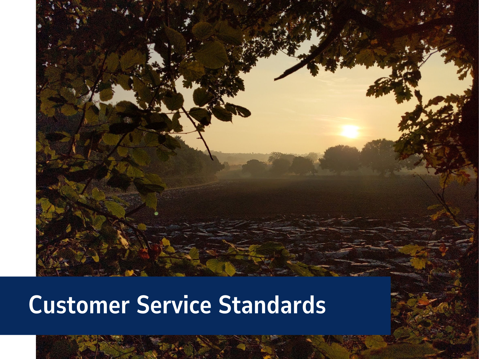 Customer Service Standards Banner