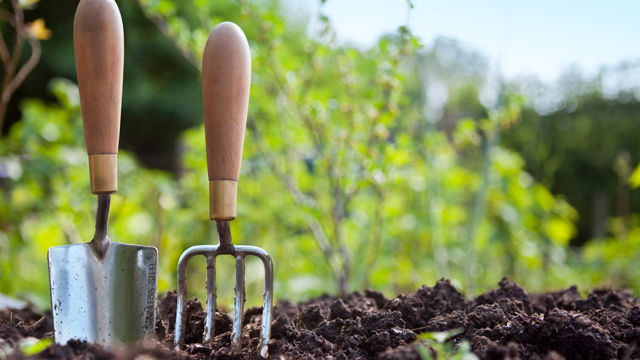 Gardening Competition Page Banner