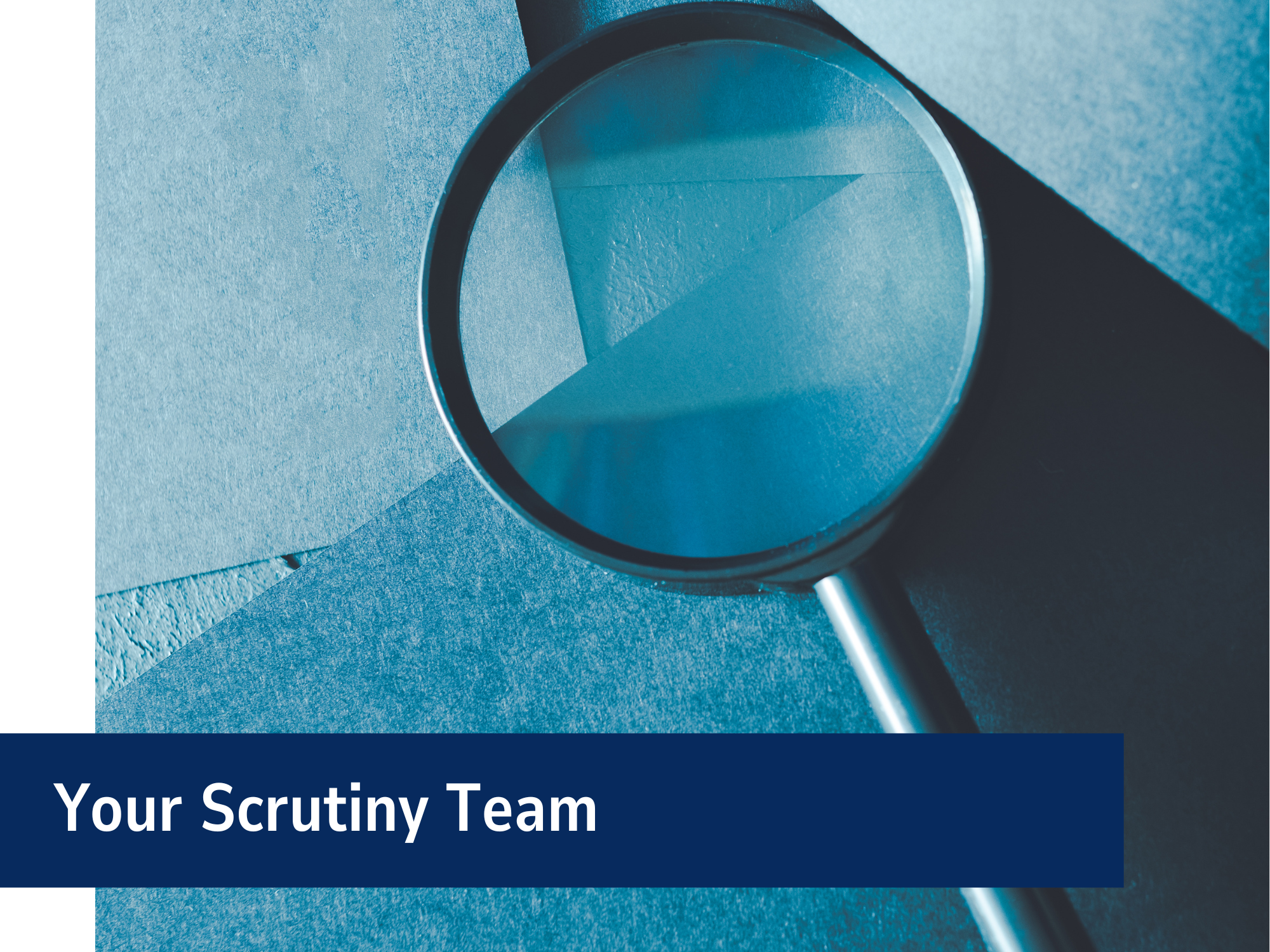 Your Scrutiny Panel Banner